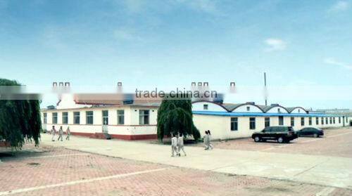 horseradish root dried price