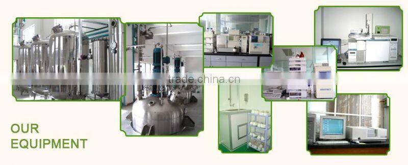 Pure Stevia Glycosides Steviol Glycosides 90% 95% Rebaudioside A (Reb A) 97% HPLC