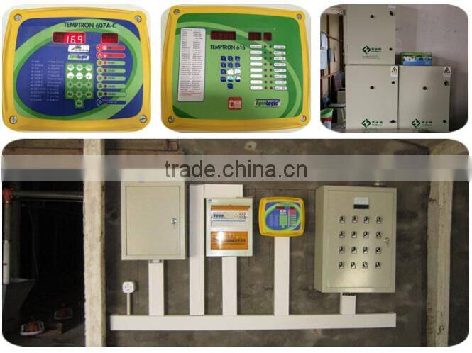 chicken poultry equipment steel frame chicken house for broiler