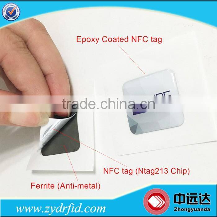 Custom 13.56Mhz Passive Programmable Small RFID Tag NFC tag