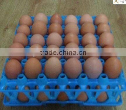 cheap price 30 eggs tray for market