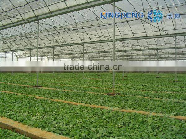 Wind greenhouse polytunnel