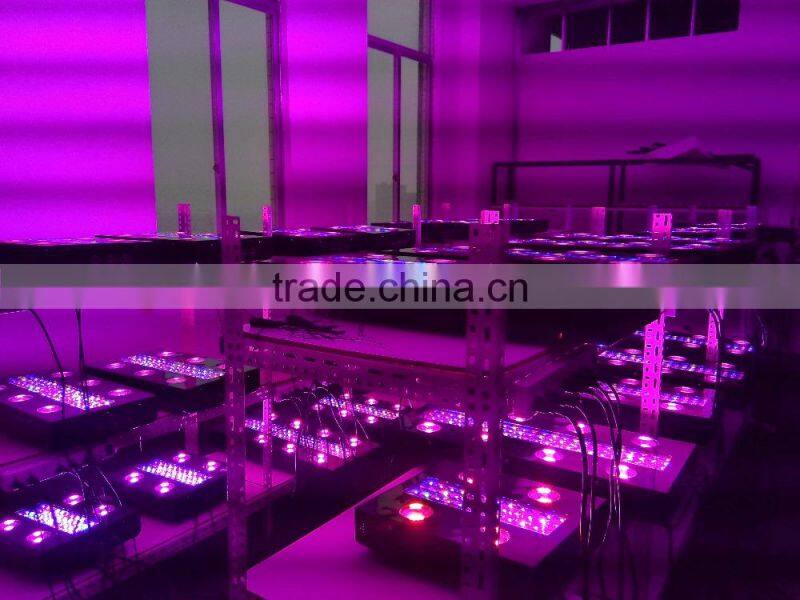 80x3 watt 240watt led grow light old style cheap led grow light