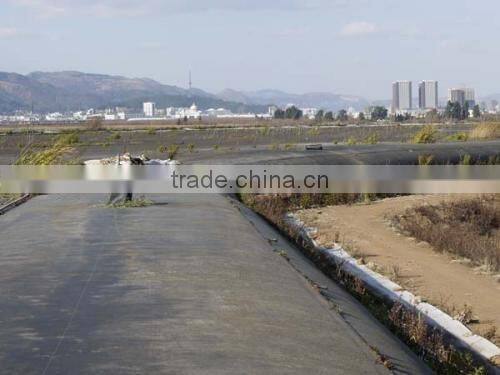 High Strength Polyester Filament Woven Geotextile for Geotube