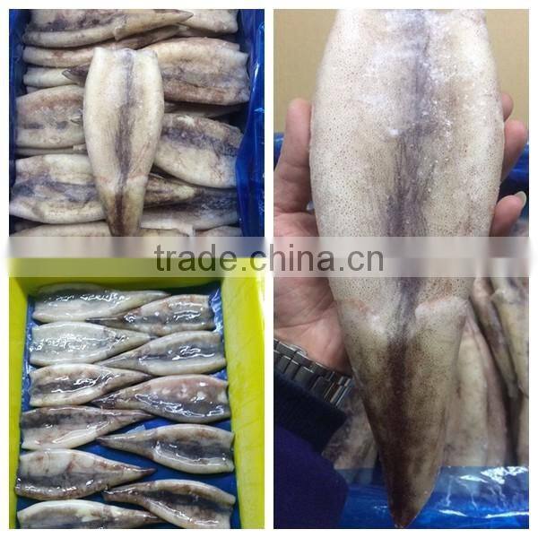 Frozen Tweed Bait squid Heads