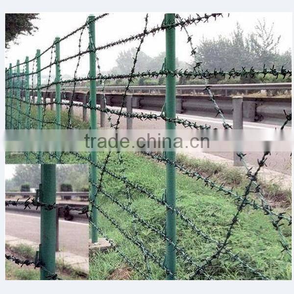 Factory price hot dipped Galvanzied barbed wire