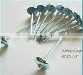 Hot Sale Twist Roofing nail(SW-043B)