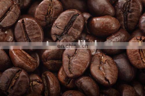 Electric coffee roasting machine/coffee bean roaster machine