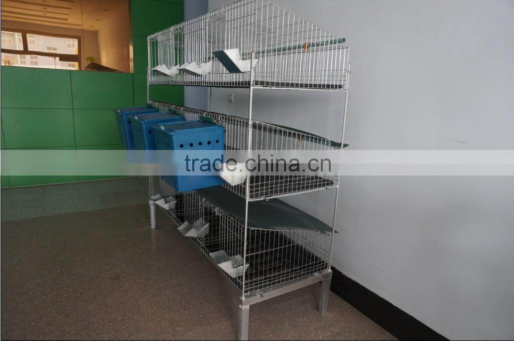 Wholesale automatic rabbit feeder