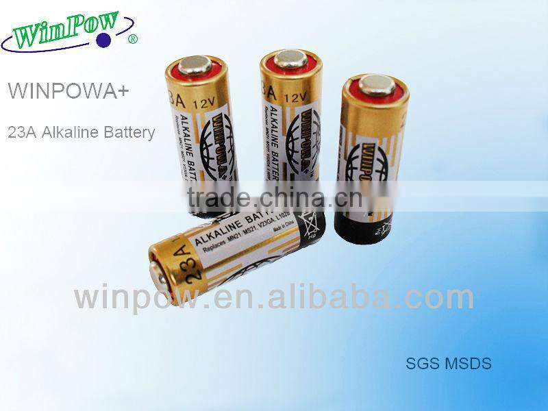 Winpow 12v battery A23