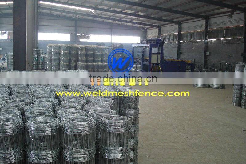 Hot Dipped Galvanized Field Fencing in 830mm, 1030mm,1500mm, 2000mm