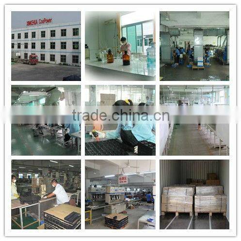 Lead acid/AGM / VRLA / SLA / SMF Battery 6v 4ah
