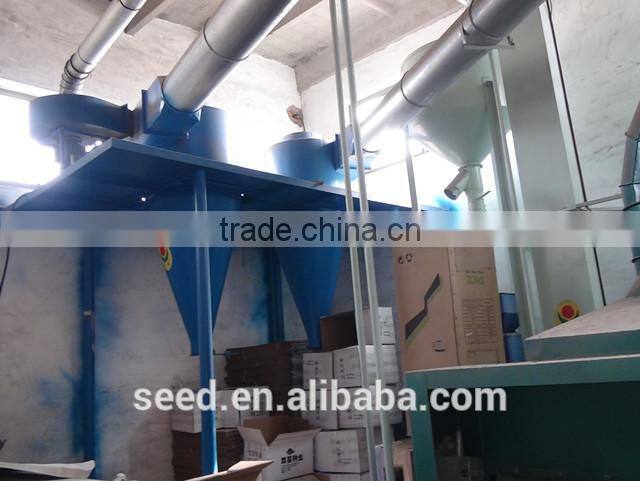 open pollinated leafy caraway seeds Big Leaf