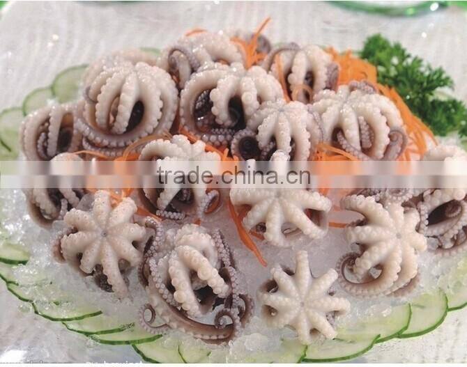 new arrival frozen baby octopus