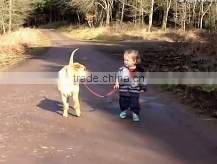 Army green double deck working army-dog dog collar dog leashes