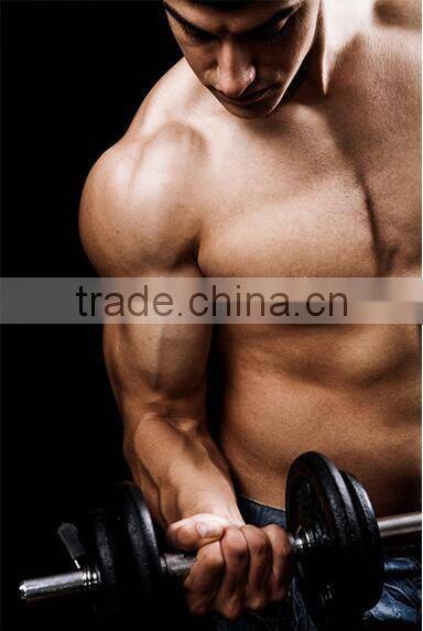 high quality PU Encased Solid Hex Dumbbell