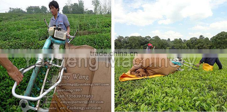 Hot Sale Tea Leaf Harvesting Machinery for Sale