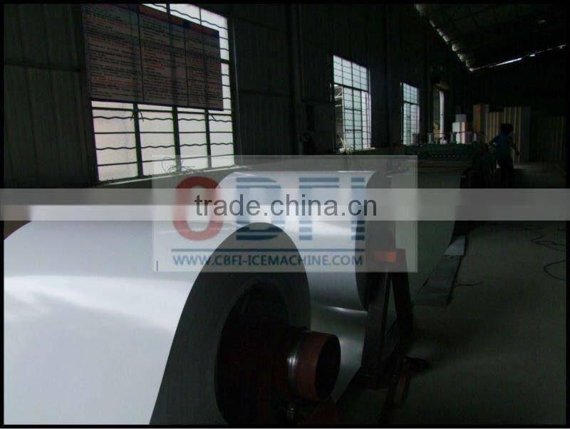 large size fish -25 centi degree Cold Storage room with CBFI installation