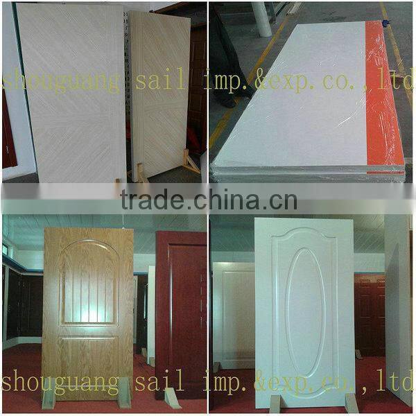modern new design wooden door