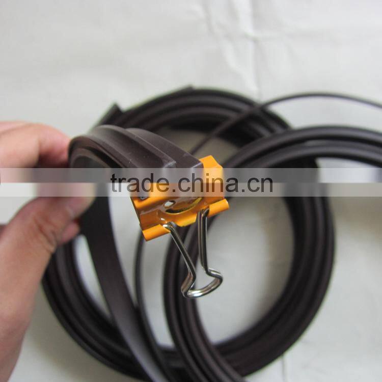 Strong anisotropic magnetic strip