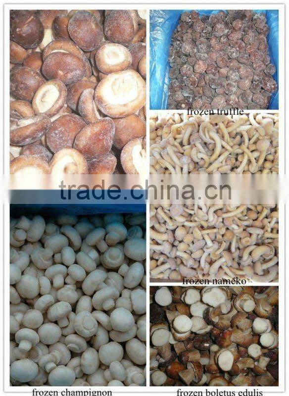 Whole Frozen Champignon Mushrooms Supplier