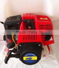 Knapsack Gaoline Power Sprayer 2/4-Stroke P768
