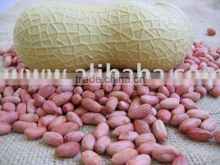 2014 Peanut kernels, Luhua / Haihua 24/28,28/32,34/38