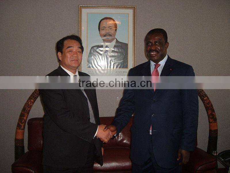 Cassava/tapioca starch machine starch production in plants