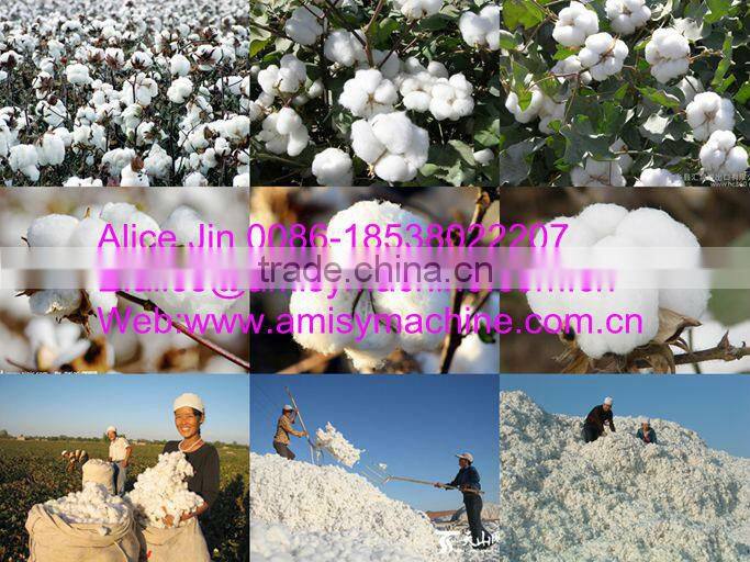 Low price of Cotton seed separating machine 0086-13733199089