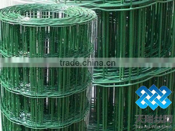 High quality holland wire mesh with low price
