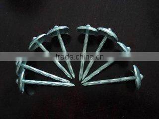 nail polish/Galvanized cap roofing nails/Polishing Clout Nails