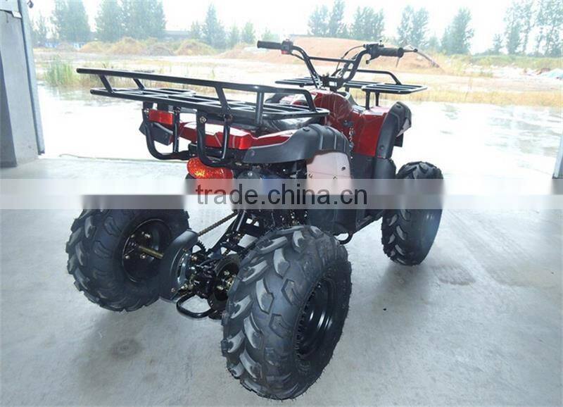 AOS125 Mini Buggy Truck For Beach Or Dune Amusements And Sports