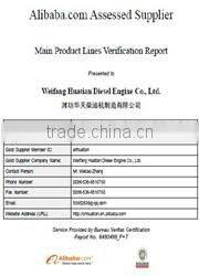 R6105ZP Ricardo diesel engine good quality