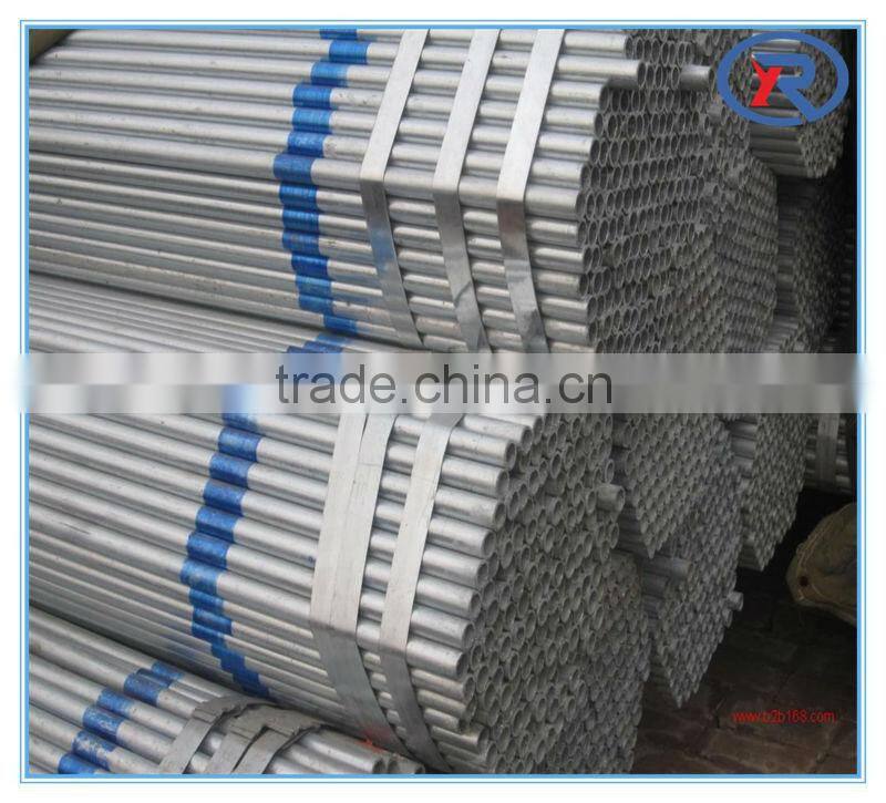 common iron nail for construction/common wire nails
