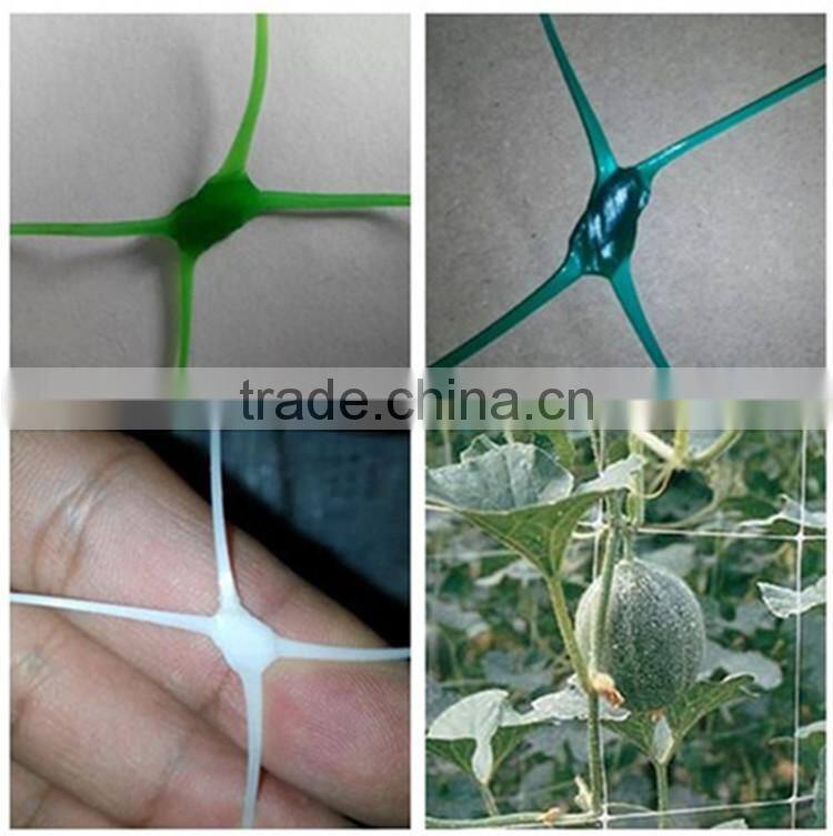 UV stablized BOP material strech net plant climbing mesh net