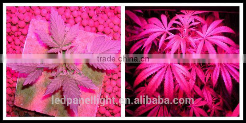 2015 brand new twilight super 9 indoor led grow light for plant