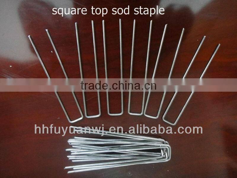 sod staple