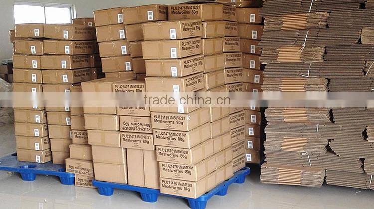 Yongzheng Dried Mealworms ;Good Quality Dried Mealworms ;Dried Mealworms for fish food