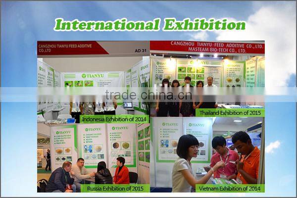 Choline chloride 2015 Hot sales animal feed additive