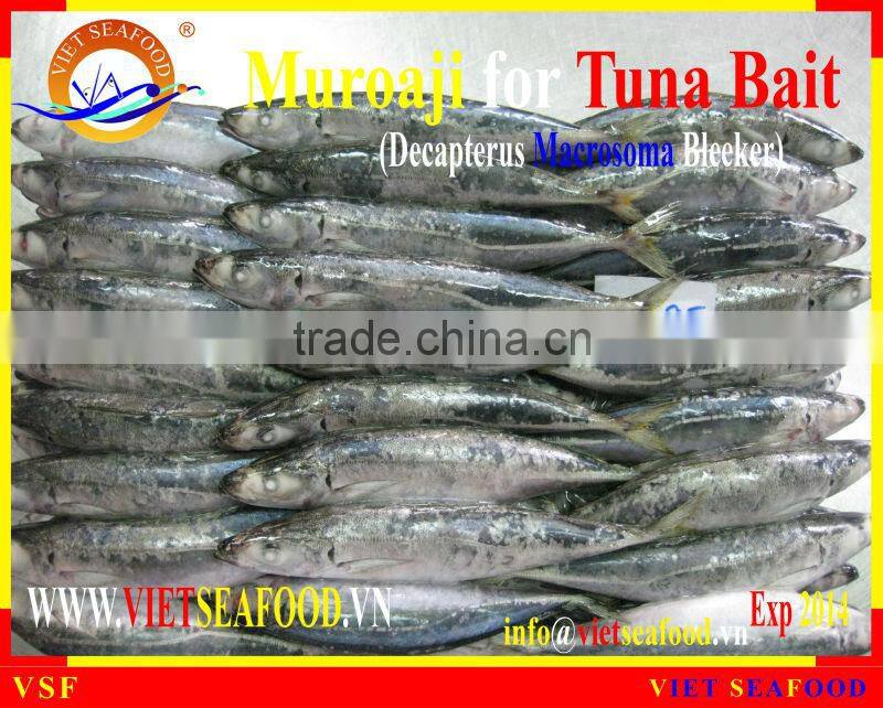 MUROAJI FOR TUNA BAIT