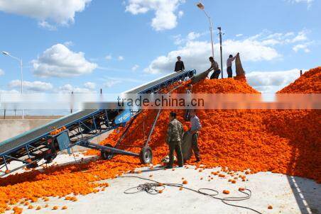 Marigold Extract/Lutein Powder 2%