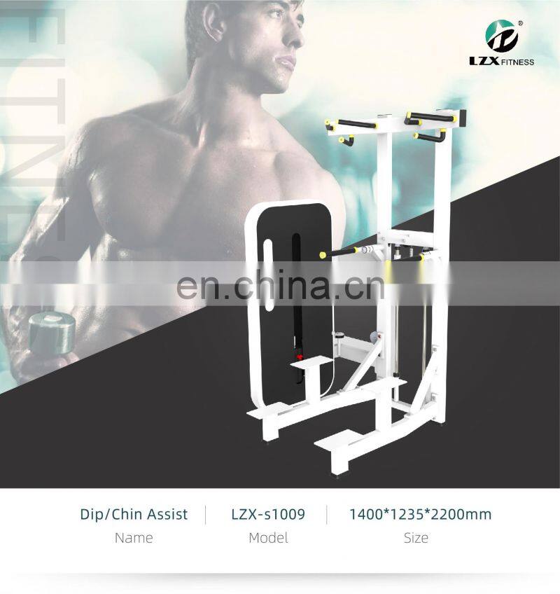 professional home equipment fitness sports exercise DIP/CHIN ASSIST machine