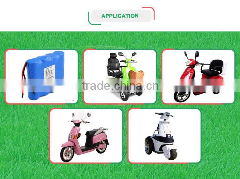 2015 High Quality 24V Lithium Battery Chargers