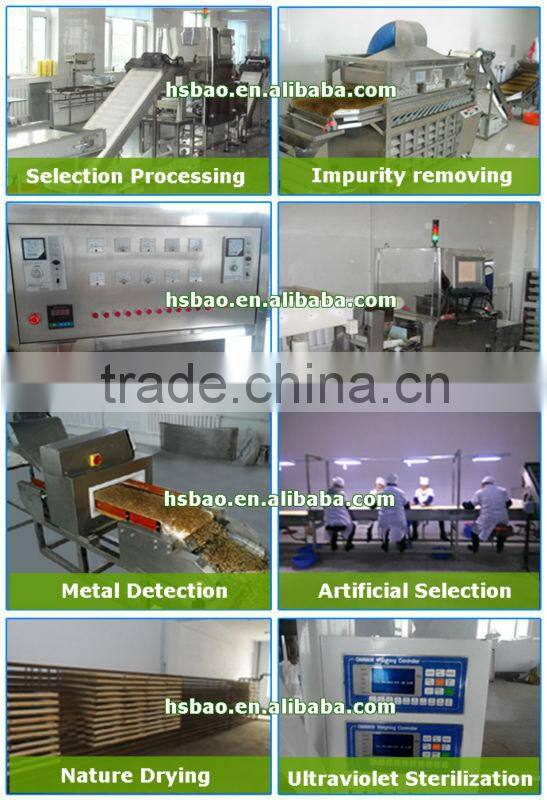 Bulk Opener Dead Sea Salt Open Pine Nuts in Shell