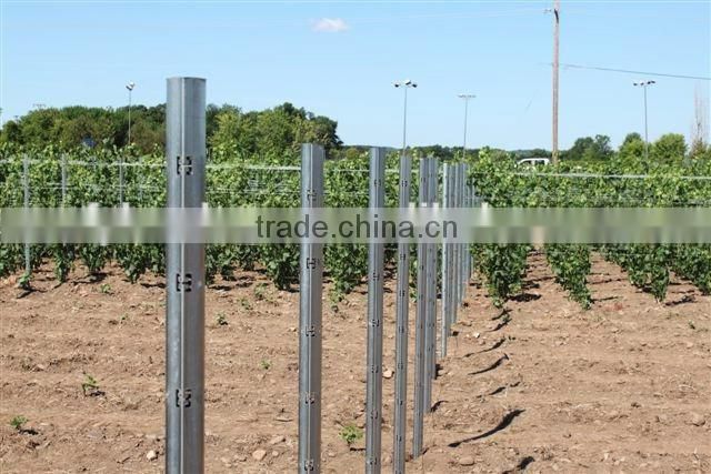 Factory supply vineyard metal trellis post