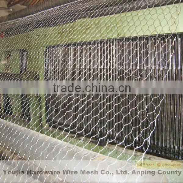 hexagonal wire net (youjie manufacturer)