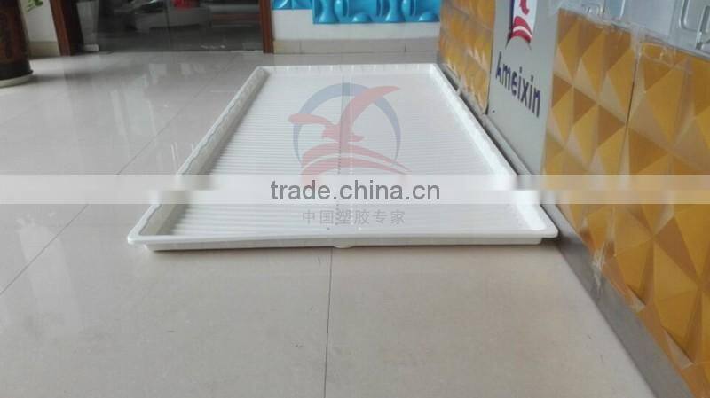 Thermoforming Plastic Trays