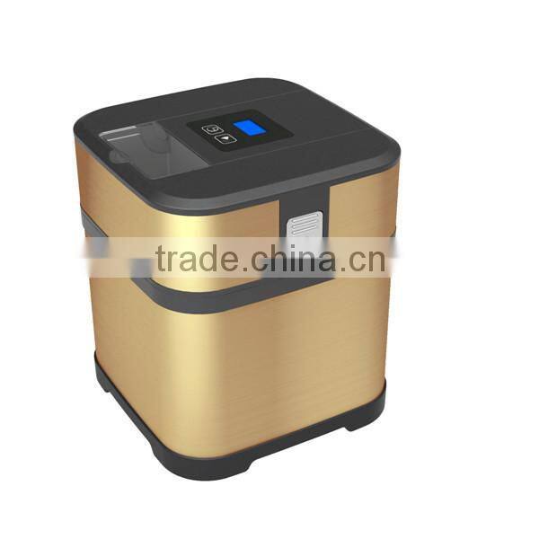 Home ice cream maker