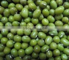 supplying GREEN MUNG BEANS (CHINA)for sale