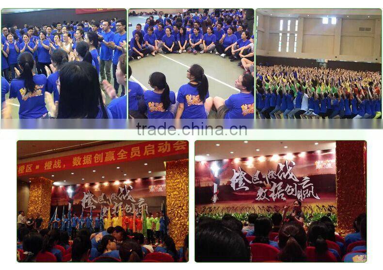 Glass Snow Globes Wholesale, China Manufacture